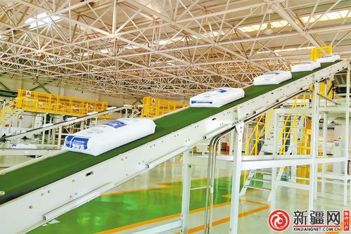 聚焦烏魯木齊高質量發(fā)展 科技創(chuàng)新激活發(fā)展動能