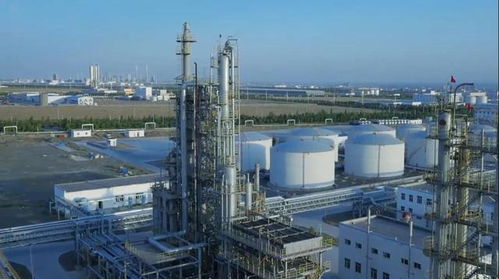 砥礪奮進五年間 奎屯—獨山子經濟技術開發區榮獲兩項國家級殊榮，技術轉讓成果顯著